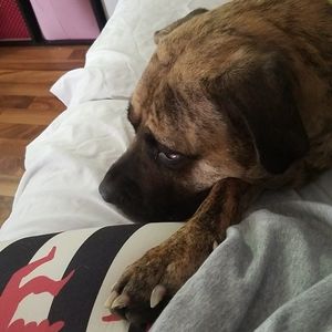 Meet your Posher, Lynette